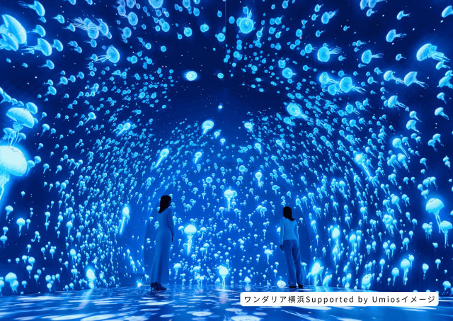 ワンダリア横浜Supported by Umios　入場券